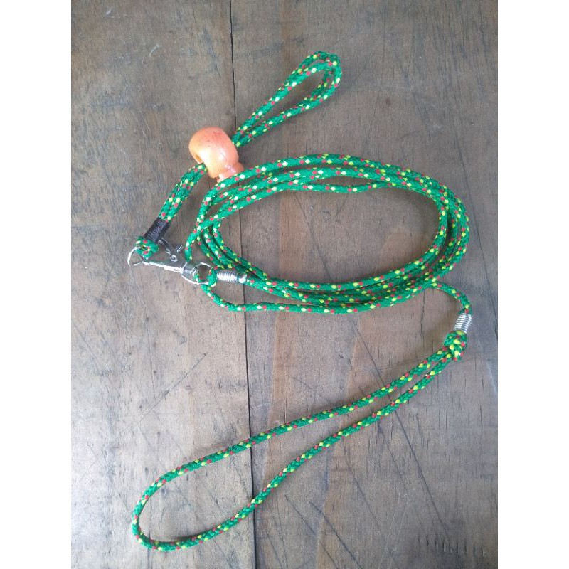 harnes bajing, tupai, sugar glider, salva dan hewan kecil lainnya