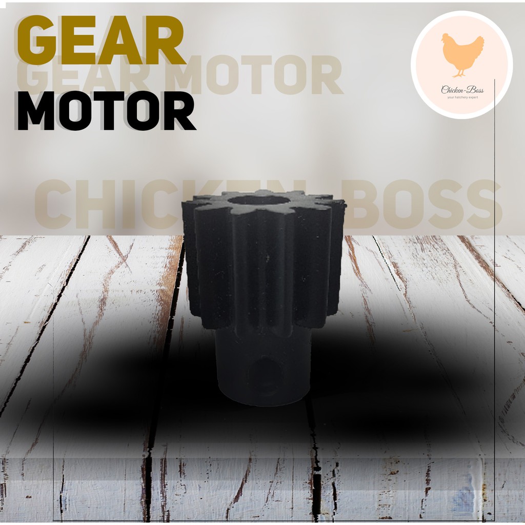 Gear Motor Mesin Tetas Telur