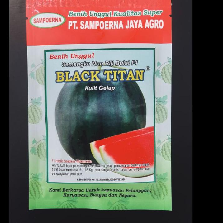 [JU1181] Benih Semangka Non Biji BLACK TITAN Kulit Gelap GAP1