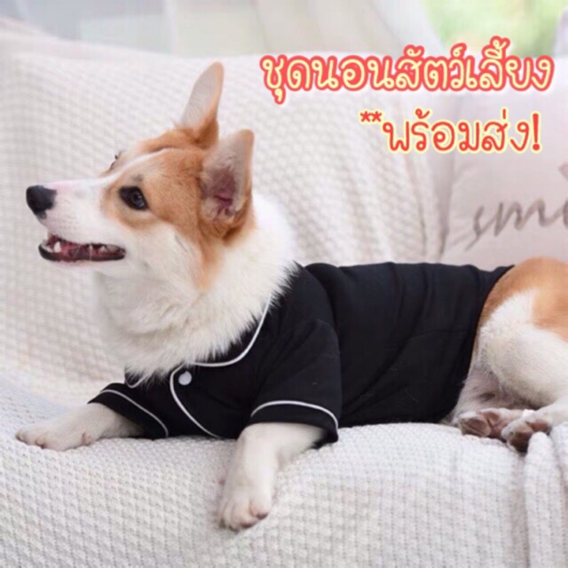 ★〓YUFeiPet〓★ Cat Pajamas Dog Shirt Pet Home Service Dog's Clothes Cat Short Sleeve Leisure Fashion Lovely