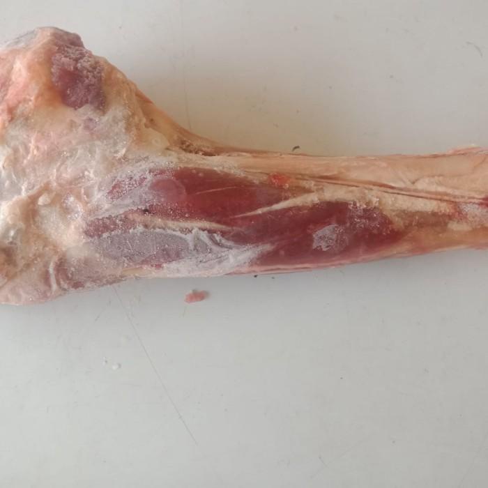 

Meat | Shankle Kambing Muda