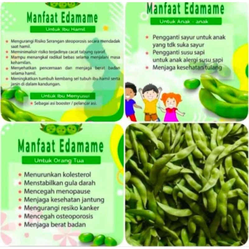Jual Kacang Edamame mentah fresh 1kg Shopee Indonesia