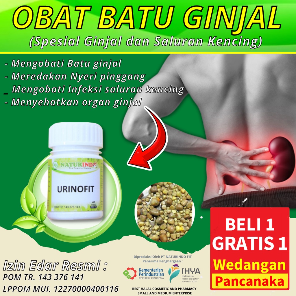 Jual Obat Batu Ginjal Herbal Infeksi Saluran Kemih Kencing Batu Nanah ...