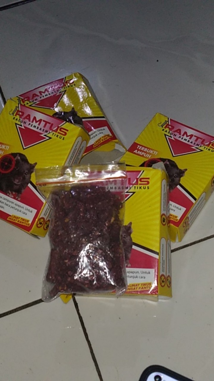 Ramtus Obat Racun Tikus Langsung Mati Kering Tidak Bau Sangat Ampuh Racun Pembasmi Tikus 6 Pack