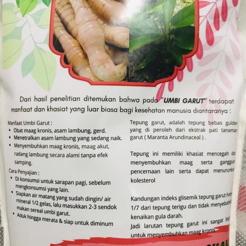 

Umbi garut (Maranta Arundinaceal)