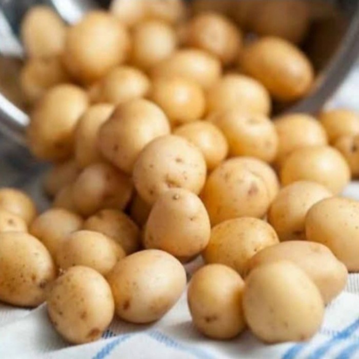 

Kentang Baby Berkualitas 250Gr