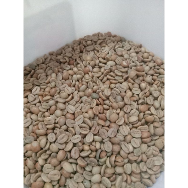 

Green Bean Arabic Sindoro & Sumbing