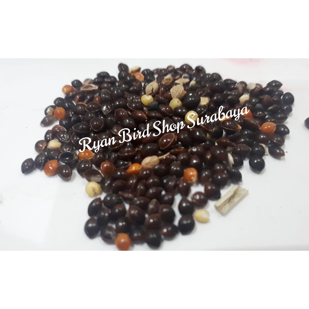 MILET HITAM BLACK  250 GRAM MILLET PAKAN BERKUALITAS UNTUK BURUNG PEMAKAN BIJIAN PERKUTUT LOVEBIRD K