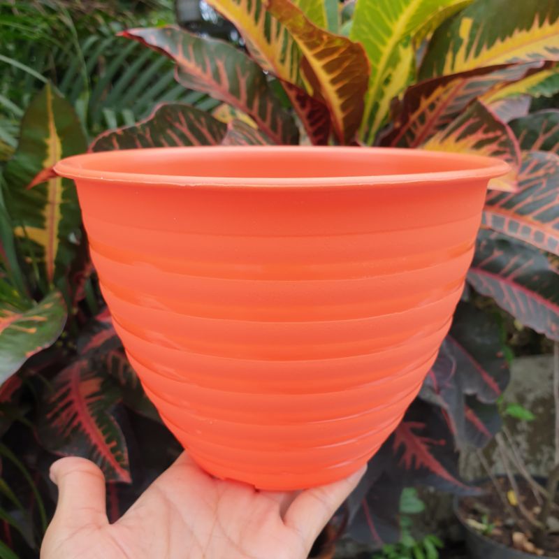 SUPER TAWON ST18 : pot model tawon 18cm putih dan warna warni bagus murah