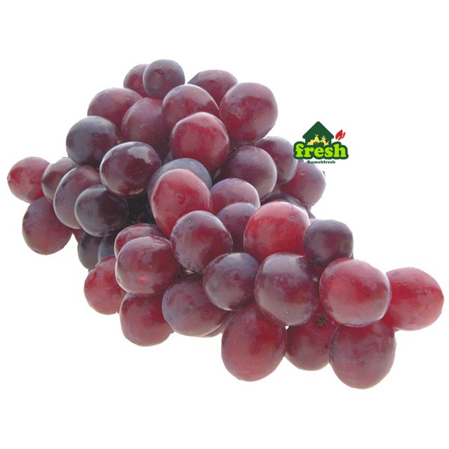 

Anggur RED GLOBE 1 kilo, GRAPE Import SEGAR best in town