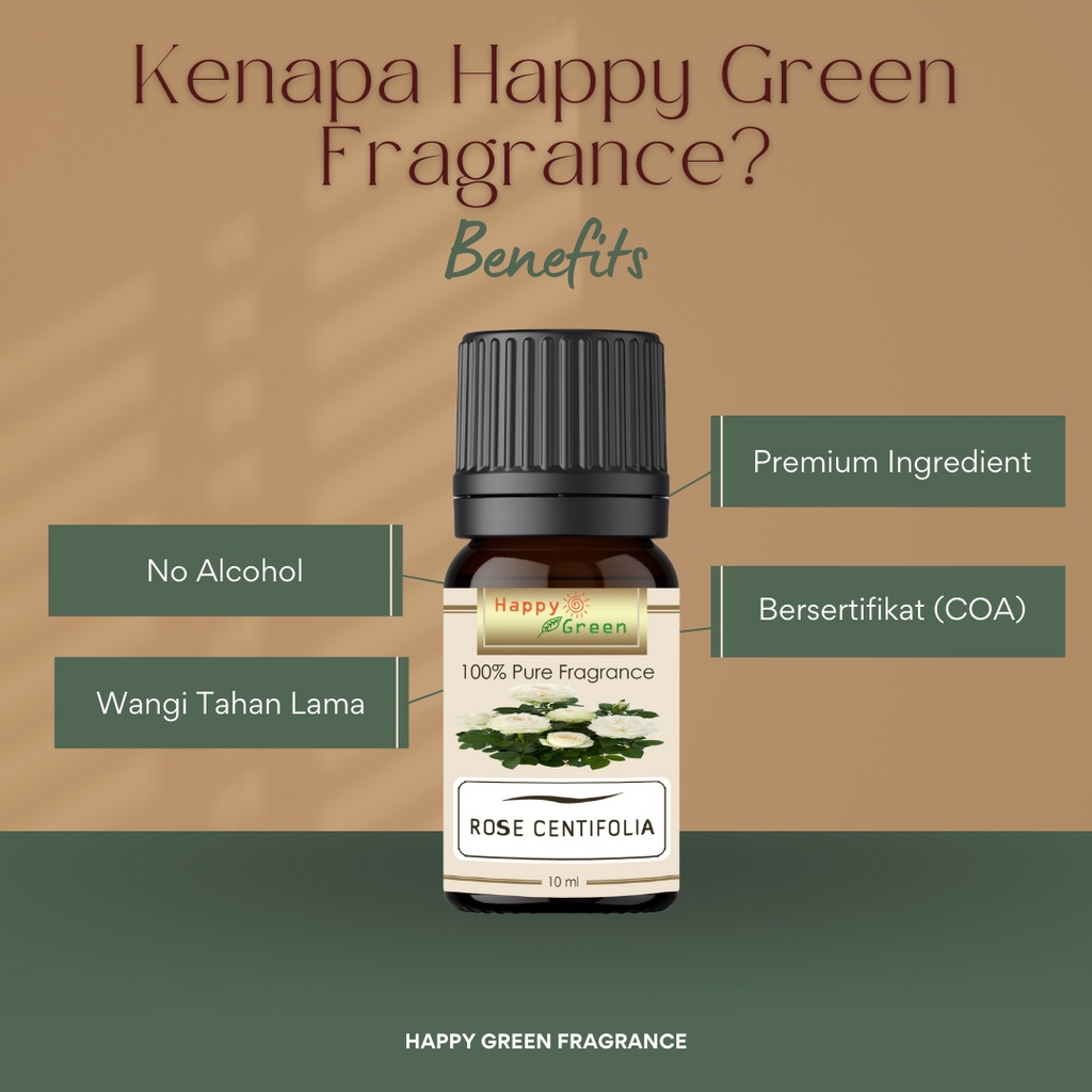 Happy Green Rose Centifolia Fragrance Oil Aroma Bunga Mawar Centifolia