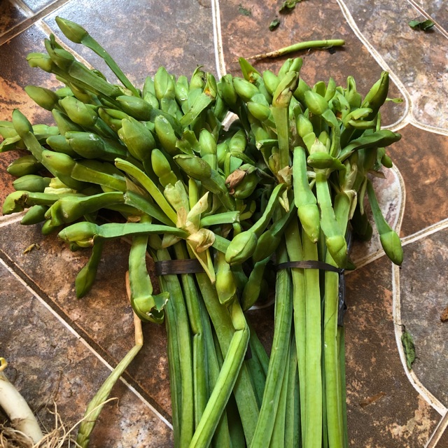 

Sayur Genjer / Batang atau daun