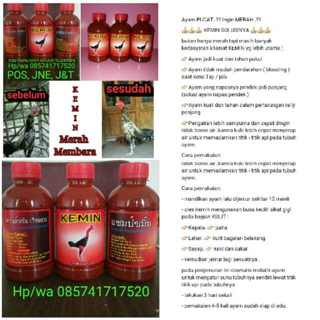 

KEMIN MERAH MEMBARA