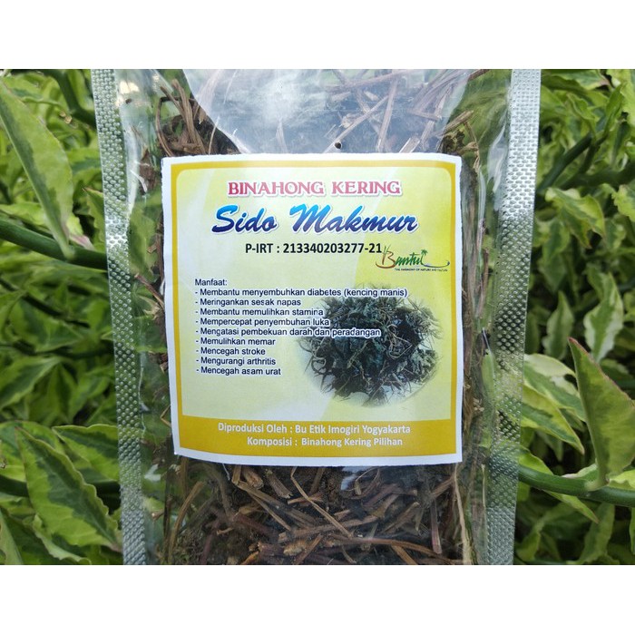 

Binahong Kering Alami Minuman Kesehatan Tradisional Jawa Banyak Khasiat Berkualitas