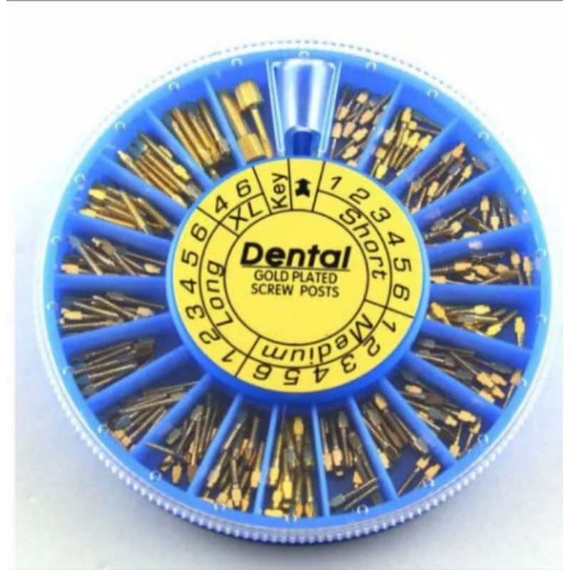 DENTAL POST PIN