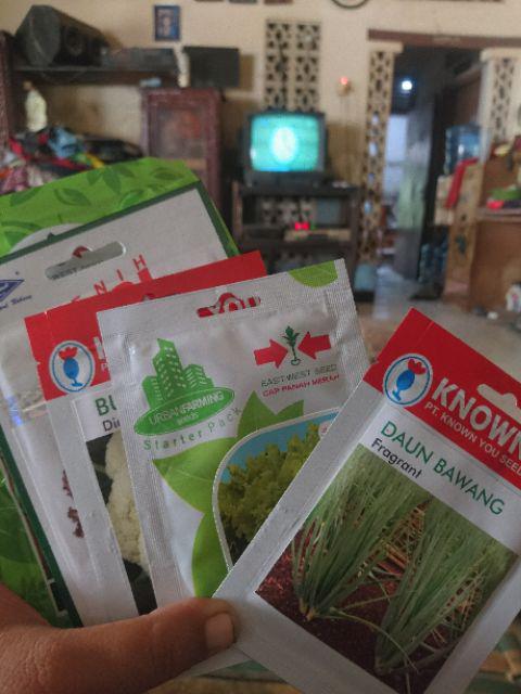 Bawang Daun-benih Bibit Biji Sayur Bawang Daun Fragrant Isi(5gr)