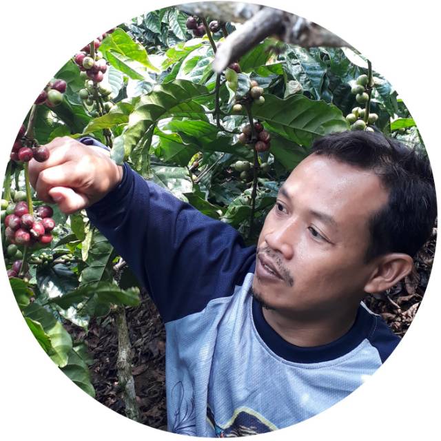 rudipurba78majapahit