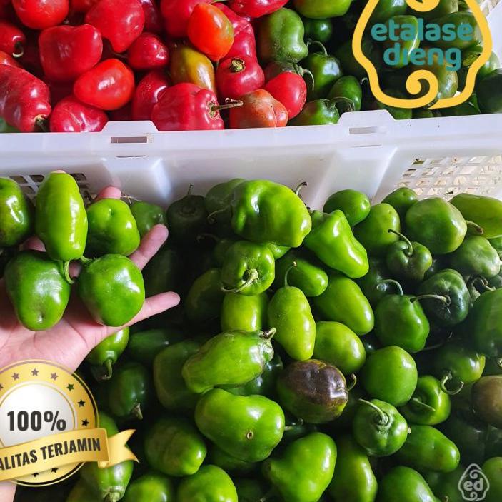 

Jangan Diklik!✔️ Cabe / Cabe Gendot / Cabe Dieng / Cabe Gendut / Habanero / Cabe Fresh / Cabai / 1Kg / 0,5 Kg |Stock terbaru!!!|Termurah|Diskon Besar!!!!!