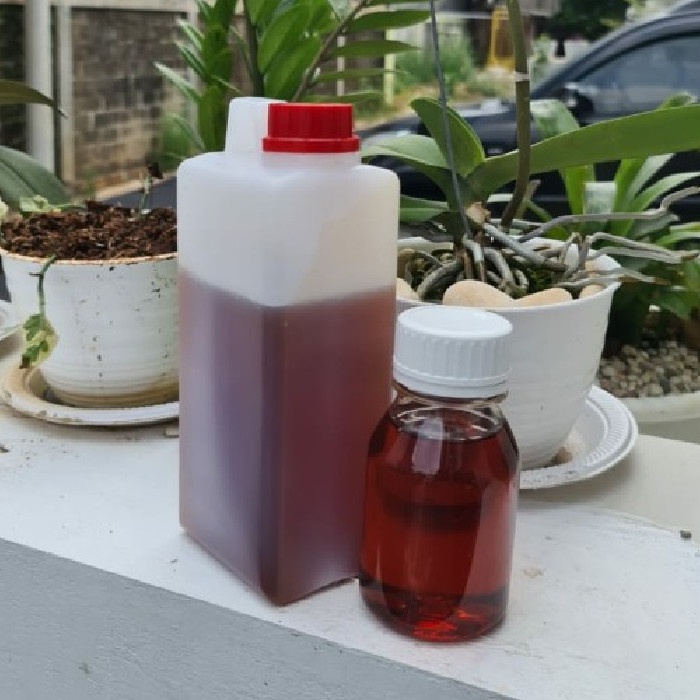 

(BISA COD) Madu Curah TJ 1kg