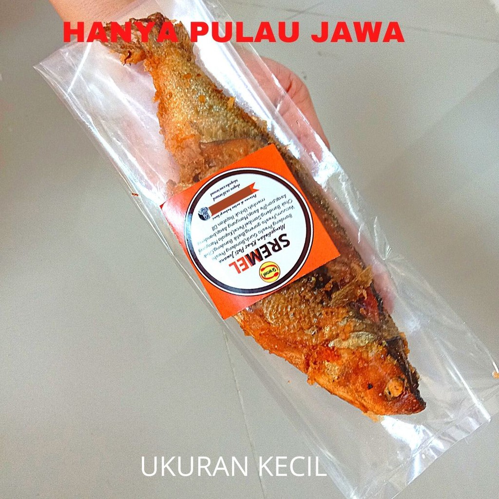 Bandeng Presto Juwana Isi 1 Goreng