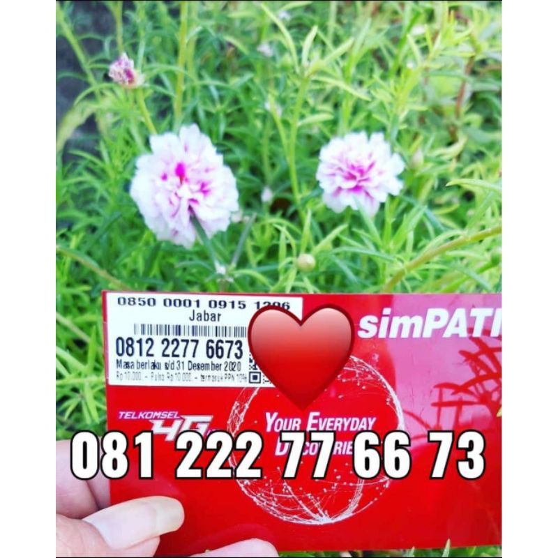 Nomer Cantik Simpati