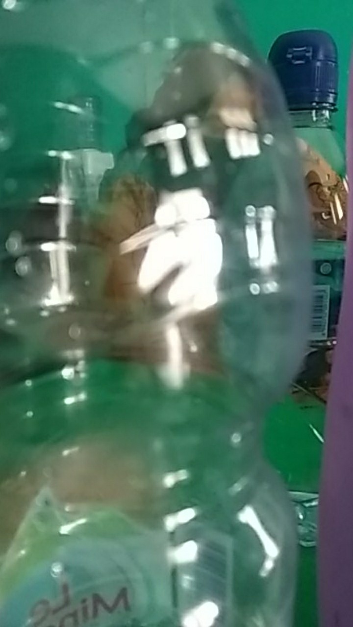 Standing Pouch Paper Window 18x29/ Tempat Penyimpanan / Kotak Plastik / Kotak Plastik Makanan