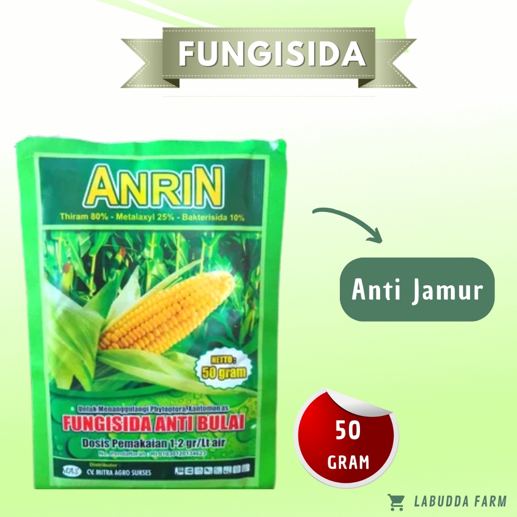 Fungisida Anrin Fungisida Anti Bulai Jagung Anti Patek Anti Potong Leher Padi Kemasan 50gr dg 3 Baha
