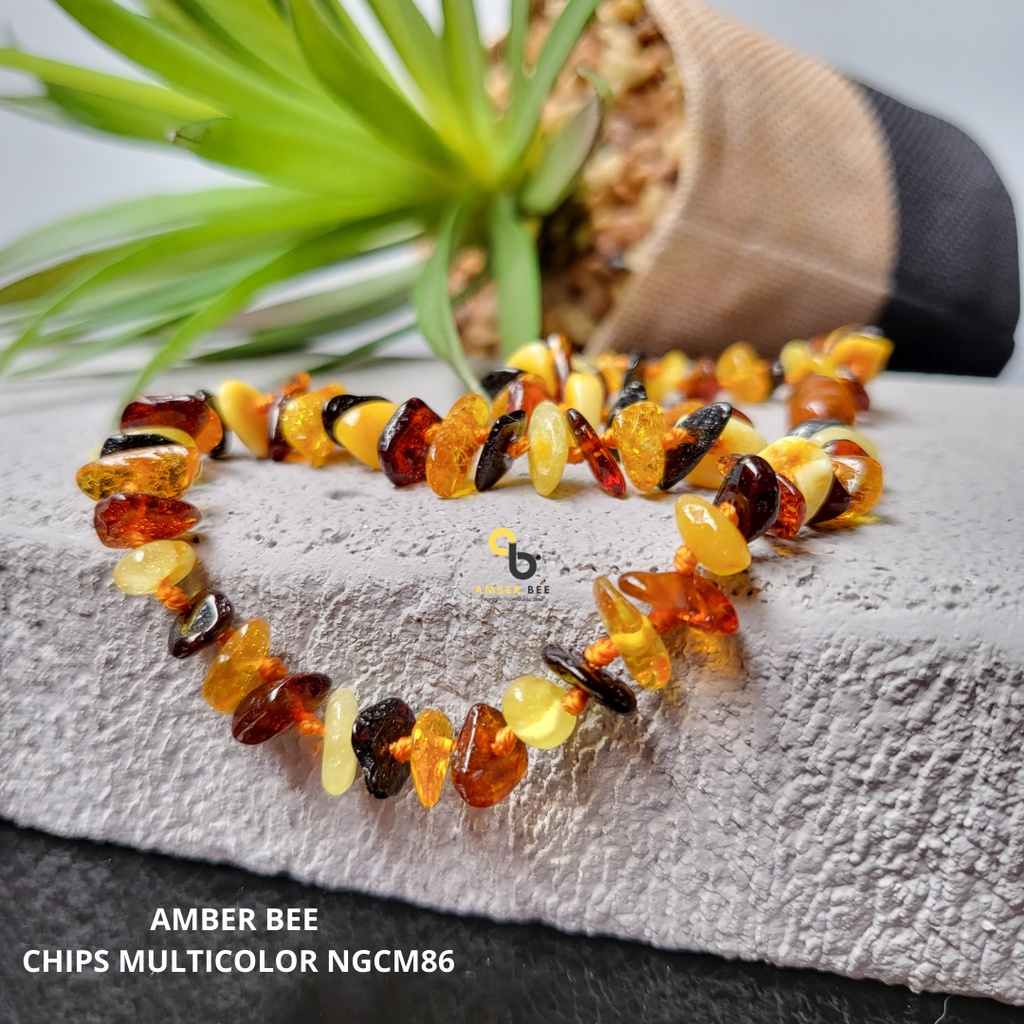 FREE Gelang - TERMURAH Kalung Amber Bayi &amp; Anak Amber Ori Baltic Premium by AMBER BEE