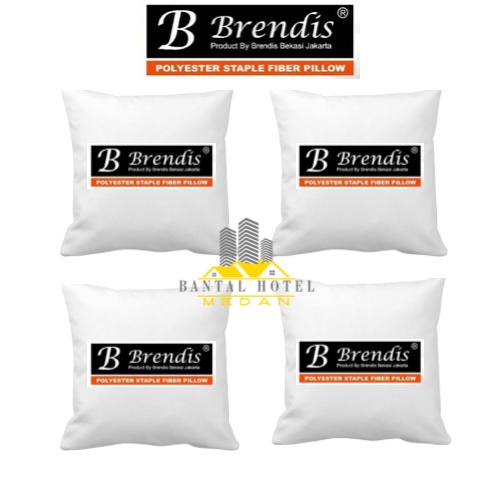 4 Bantal Sofa Medan Cushion Hotel Premium Berkualitas Brendis Eksklusif