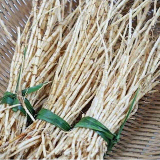 

Akar Alang - Alang Fresh 100 gram (tidak kering)