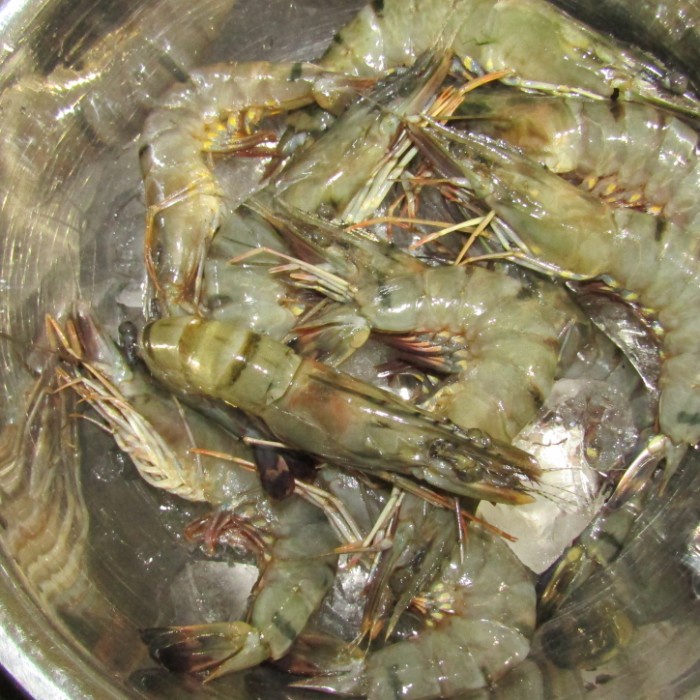 udang windu / tiger fresh segar size 30-40ekor/kg - 10-15 ekor/pack