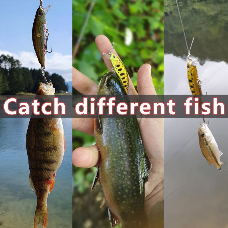 SYFishing 1Pcs 50mm 5g Umpan Pancing Buatan Bentuk Ikan Kecil Mata 3d Bahan Keras Ukuran Sinking Fishing Lure