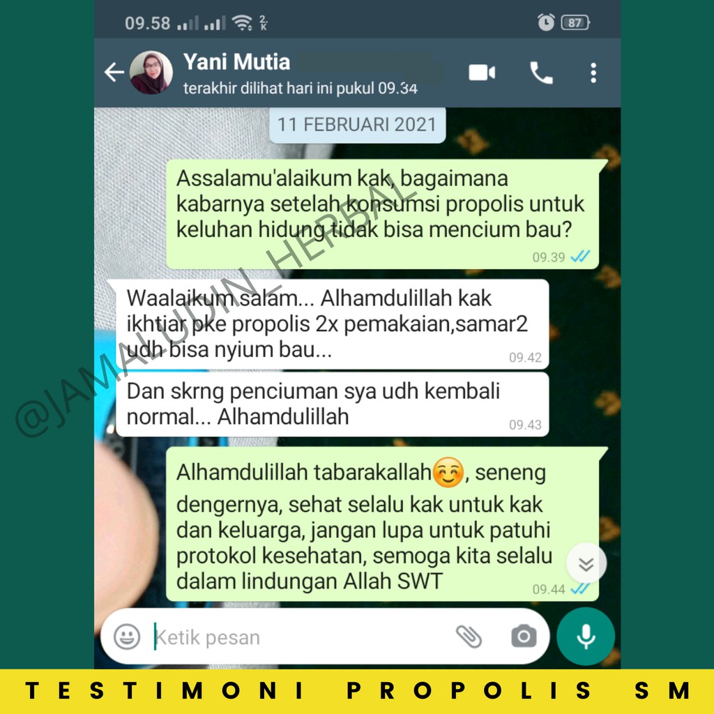 Obat Herbal Tetes Hidung Tersumbat, Polip Hidung, Anosmia - Obat Herbal Polip Hidung Tersumbat, Pilek Menahun, Gondok Kelenjar, Obat Anosmia, Obat TBC, Obat Batuk Berdahak,Obat Hidung Mampet Herbal Propolis SM ASLI-5