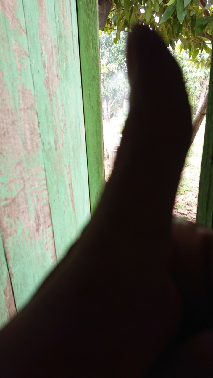 Dgm Fashion   Kemeja Lengan Pendek Batik Songket/batik Songket/batik Pria/kemeja Batik 6087