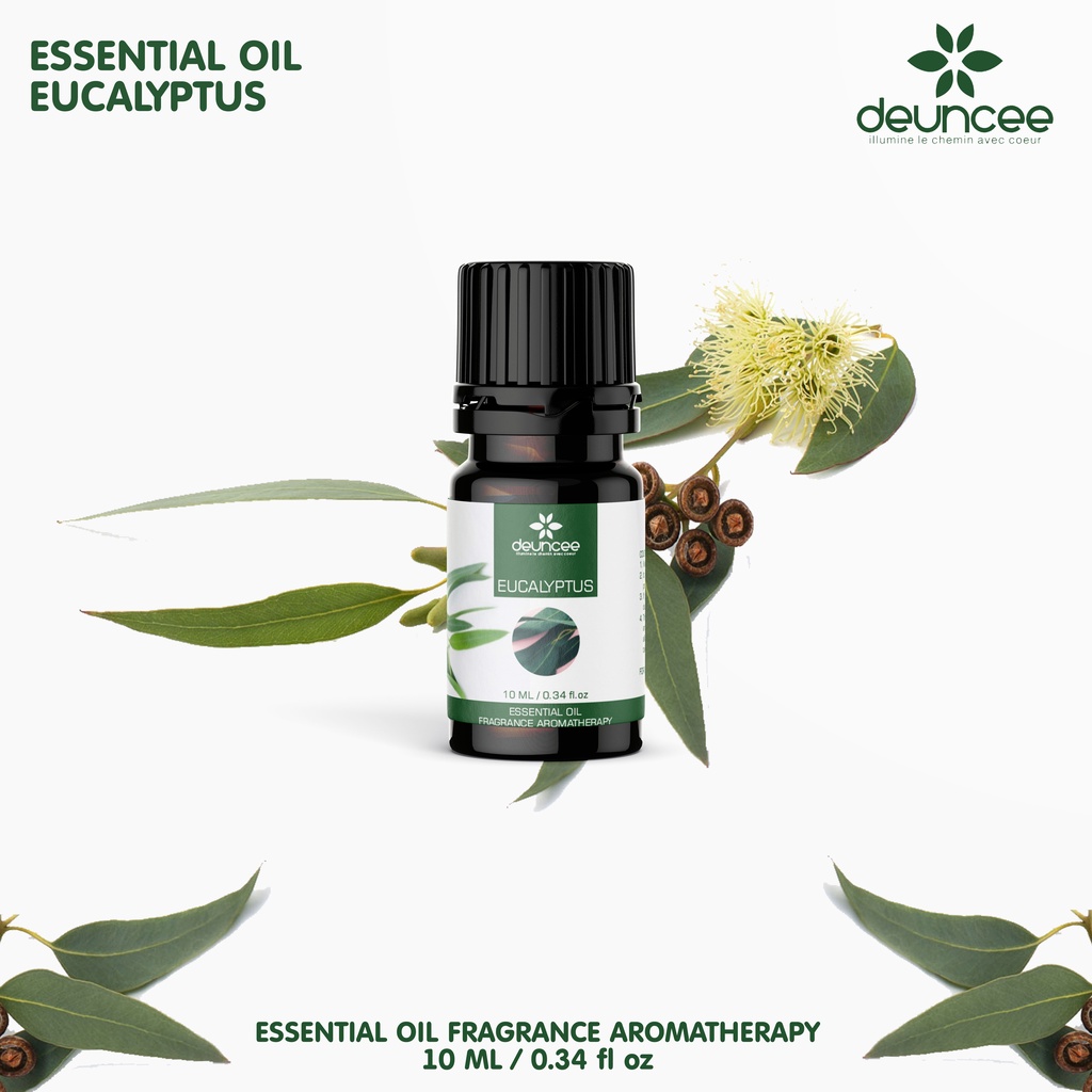 Aromatherapy Essential Oil Diffuser Minyak Aroma Terapi Eucalyptus Kayu Putih