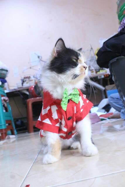 Kemeja merah putih zig-zag lucu untuk kucing dan anjing / baju kucing murah size S-XL