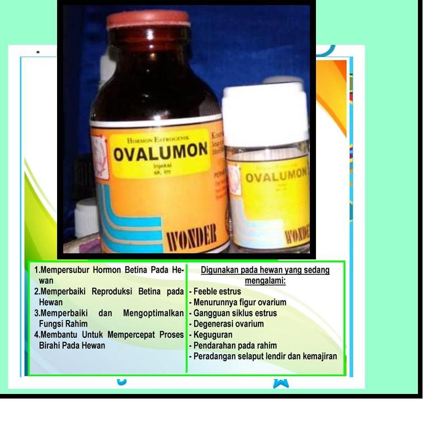 Wow Murah Meriah.. OVALUMON 20ML OVALUMON 5ML OVALUMON OBAT BIRAHI OVALUMON KUCING UNTUK BABI SUNTIK