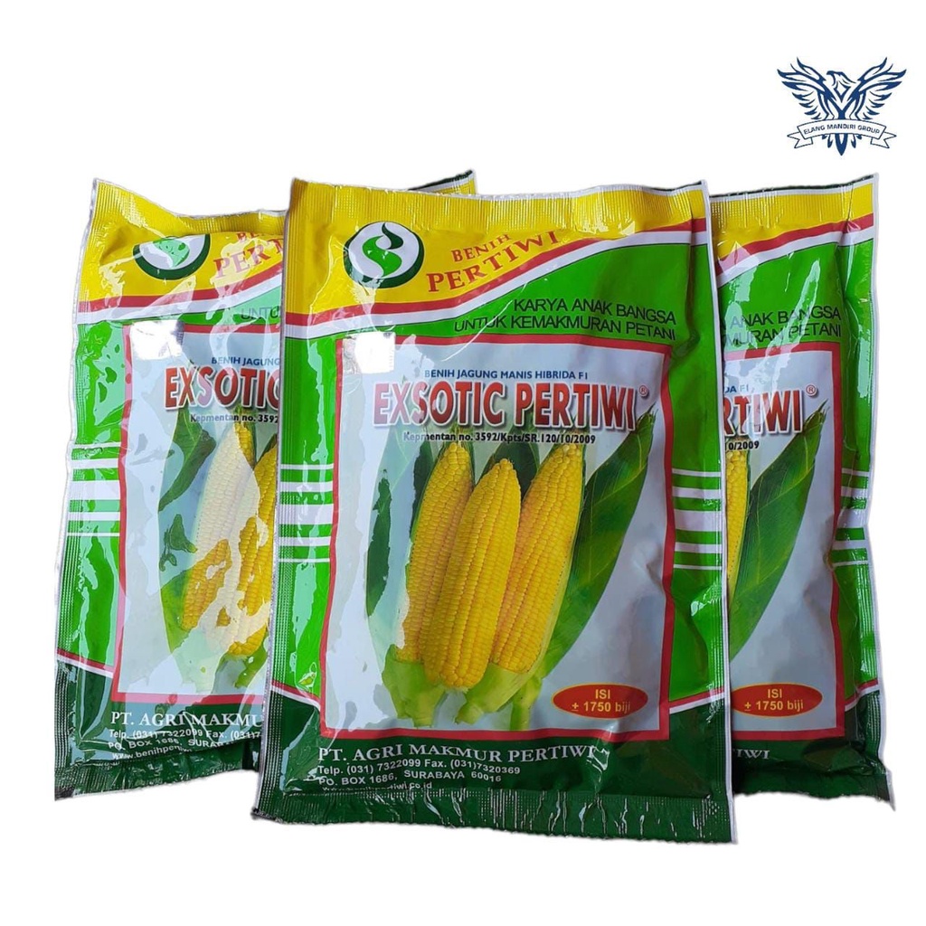 BENIH BIBIT JAGUNG MANIS EXOTIC PERTIWI 1.750 Butir, Benih jagung manis hibrida eksotik,exotic,eksotic