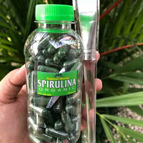 MASKER SPIRULINA ISI 100PCS ORIGINAL HERBAL