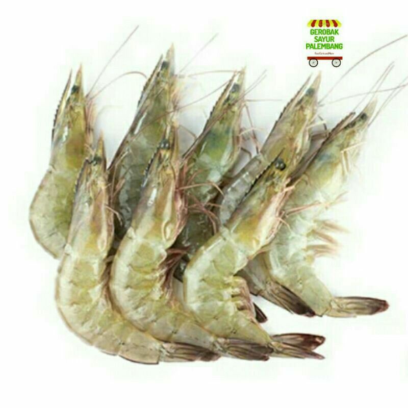 Udang Segar 500 gr - Gerobak Sayur Palembang