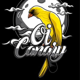 5000 Koleksi Gambar Burung Kenari Kartun HD