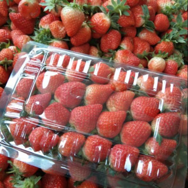 

Buah strawberry fresh