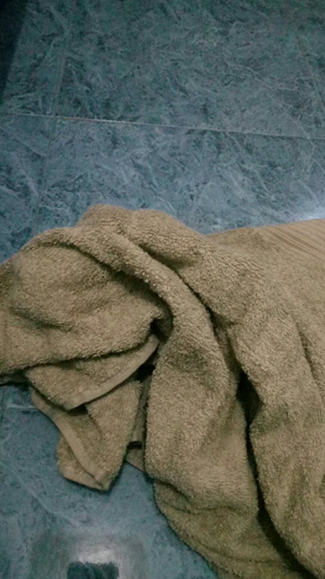 Rc Terry Palmer Handuk Mandi Dewasa Eternal /concept /handuk Polos  70 X 140 Cm