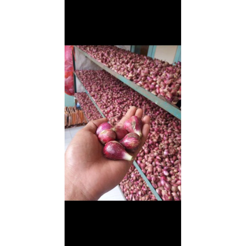 

bawang merah brebes super (harga per kg)