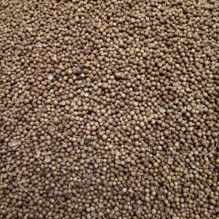 

HS Biji ketumbar asli alami