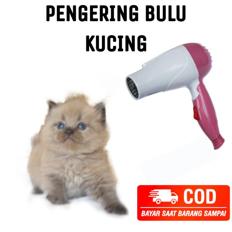 PENGERING BULU KUCING MURAH, HAIRDRYER, PEMBERSIH BULU KUCING, AKSESORIS KUCING, PENGERING KUCING