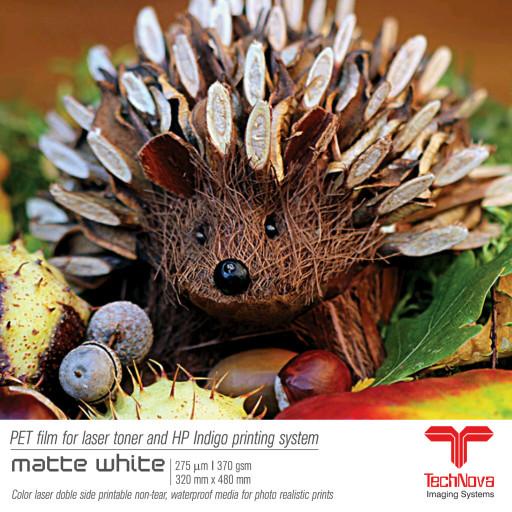

Paper | Technova Synthetic Matte Paper Lmo 275 Micron