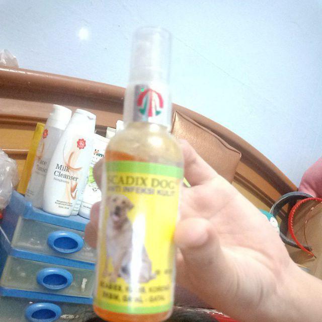 Obat Semprot Infeksi Kulit Anjing SCADIX Jamur Gatal ...