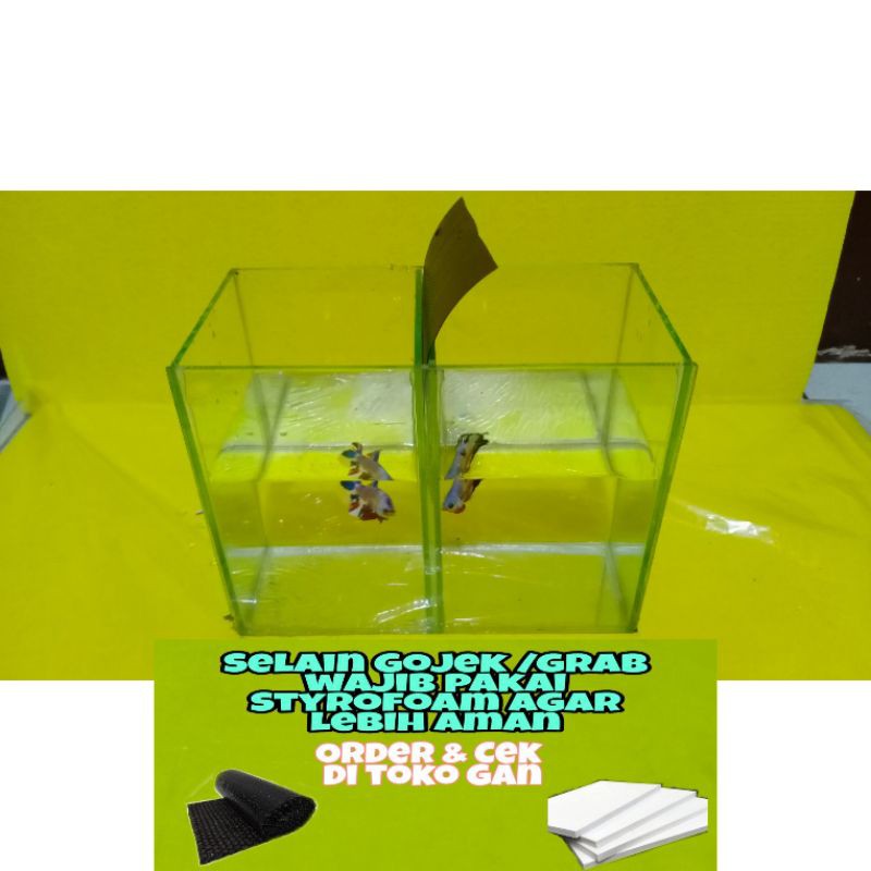 Soliter ikan Cupang 2 Sekat / Aquarium 2 kamar / 2 ruangan