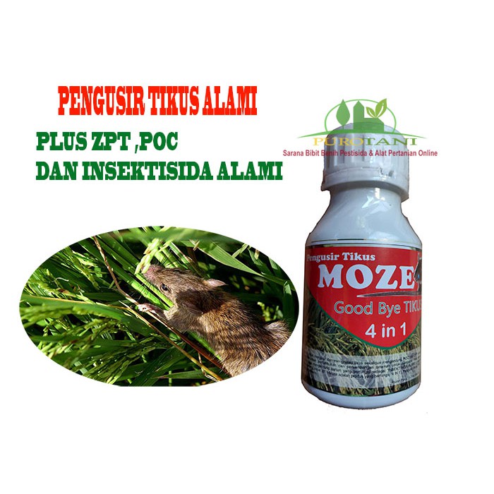Moze Pengusir Tikus Sawah Plus Poc Zpt Insektisida Alami Shopee Indonesia